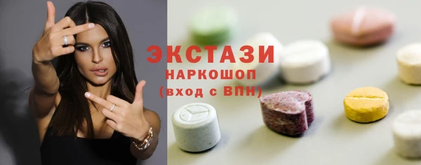 spice Богородицк